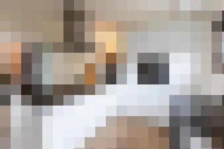 Wieldraaierstraat 24 Delfgauw thumbnail 12