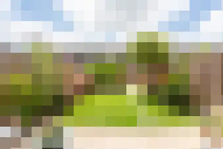 Wieldraaierstraat 24 Delfgauw thumbnail 13