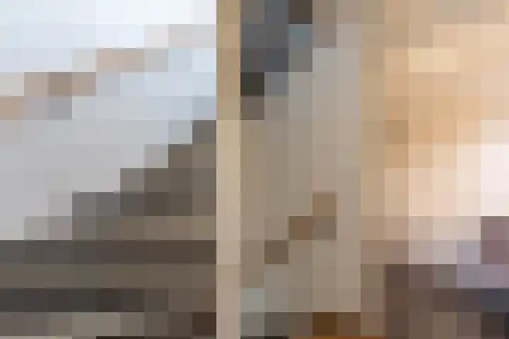 Wieldraaierstraat 24 Delfgauw thumbnail 16