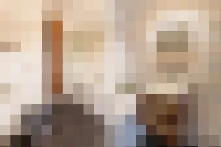 Wieldraaierstraat 24 Delfgauw thumbnail 18