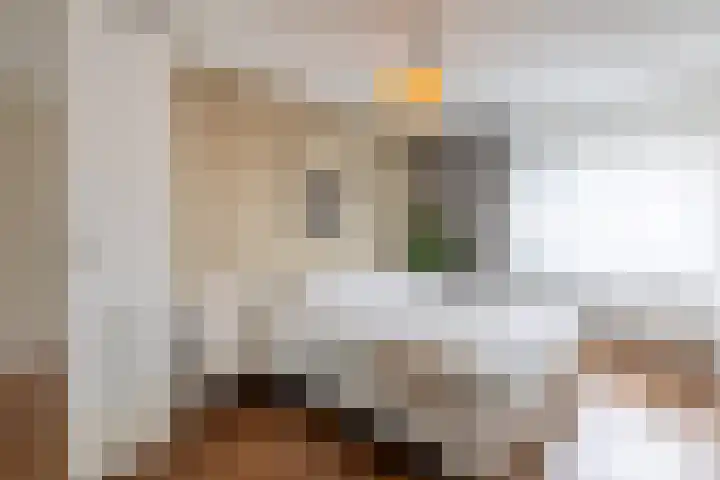 Wieldraaierstraat 24 Delfgauw thumbnail 19