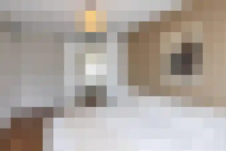 Wieldraaierstraat 24 Delfgauw thumbnail 20