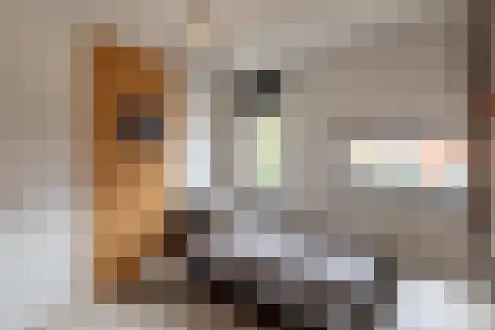 Wieldraaierstraat 24 Delfgauw thumbnail 21