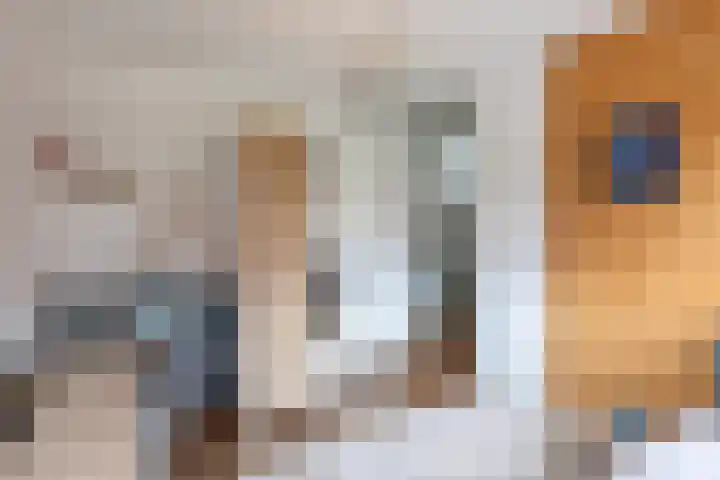Wieldraaierstraat 24 Delfgauw thumbnail 22