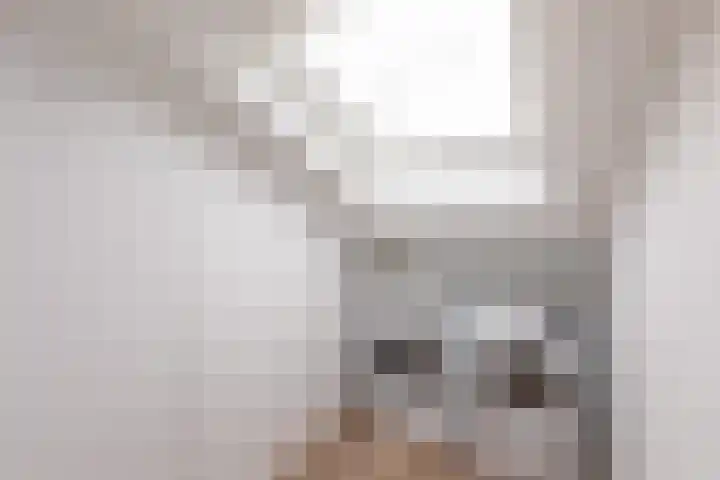 Wieldraaierstraat 24 Delfgauw thumbnail 27