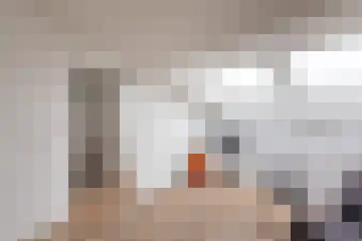Wieldraaierstraat 24 Delfgauw thumbnail 33