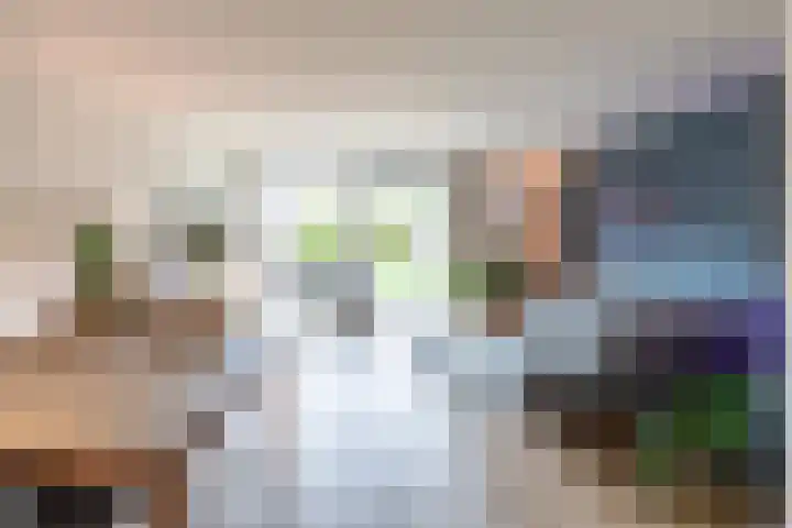 Wieldraaierstraat 24 Delfgauw thumbnail 4