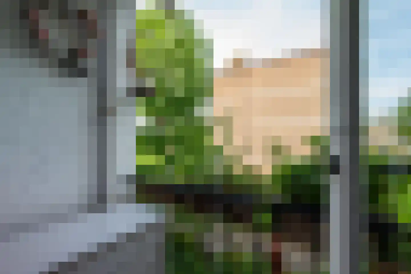 Wieldraaierstraat 27 Gorinchem thumbnail 15