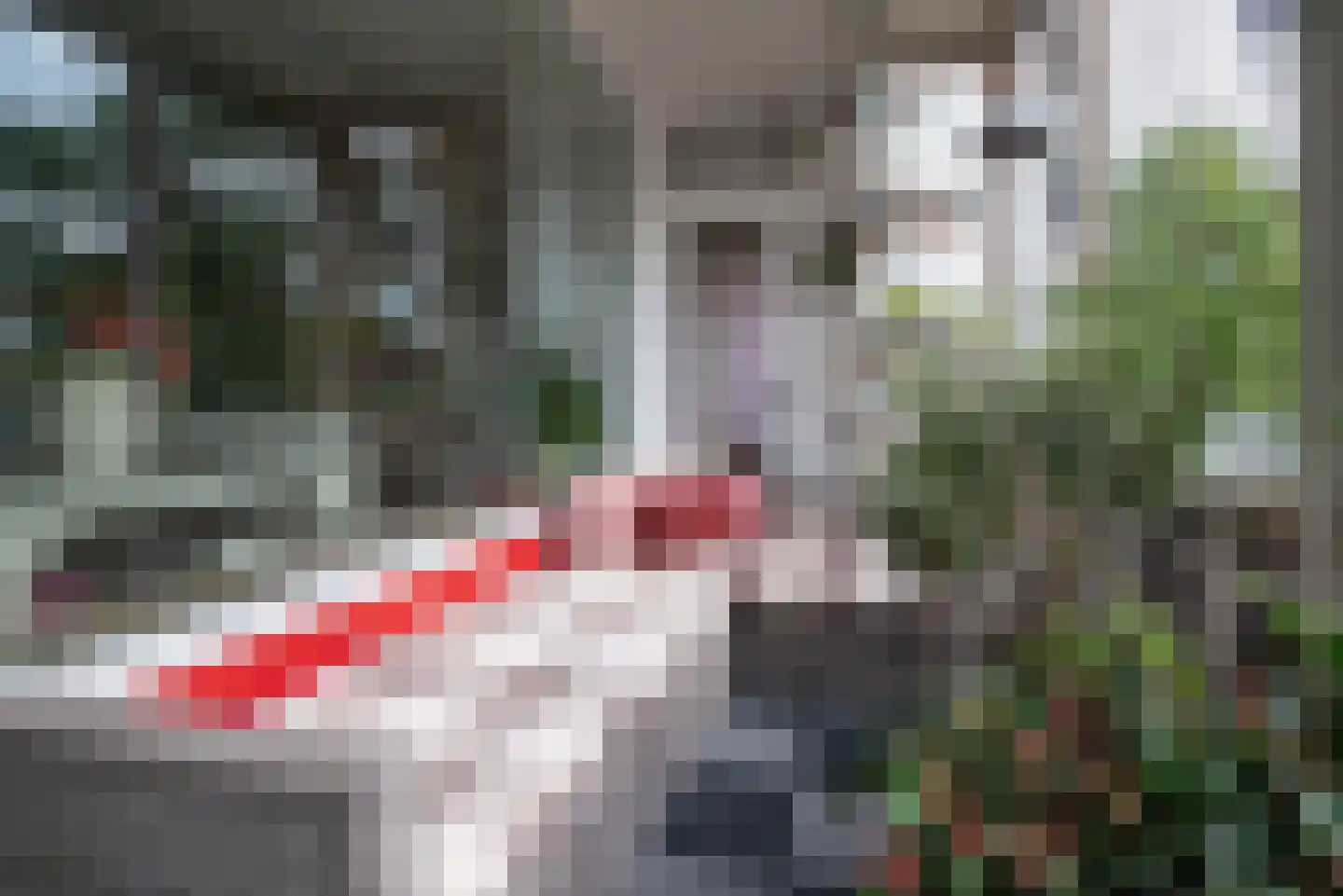 Wieldraaierstraat 27 Gorinchem thumbnail 16