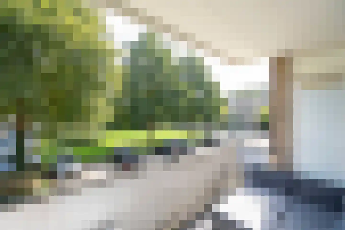 Wieldraaierstraat 3 Gorinchem thumbnail 13