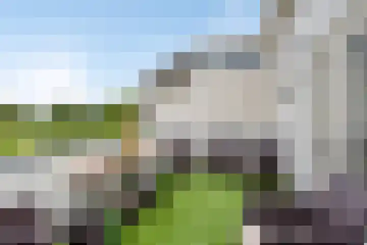Wieldrechtse Zeedijk 43 Dordrecht thumbnail 17