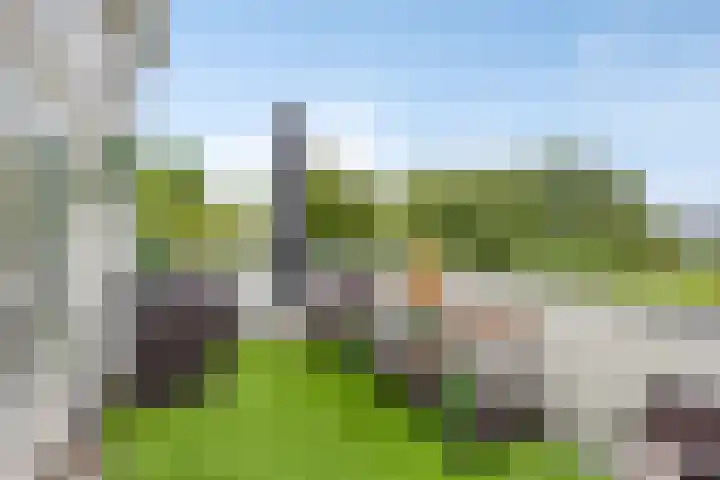 Wieldrechtse Zeedijk 43 Dordrecht thumbnail 18