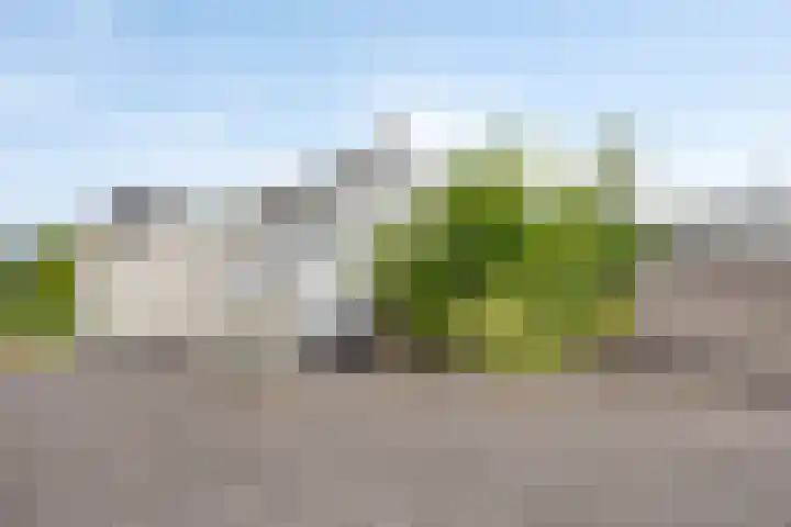 Wieldrechtse Zeedijk 43 Dordrecht thumbnail 47