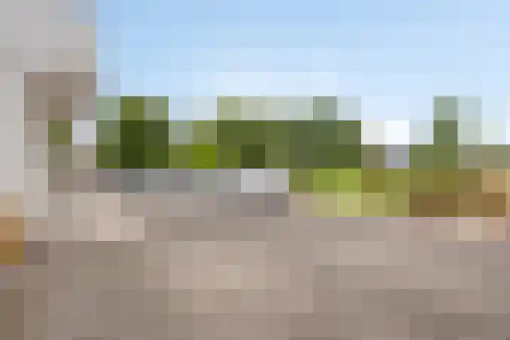 Wieldrechtse Zeedijk 43 Dordrecht thumbnail 48