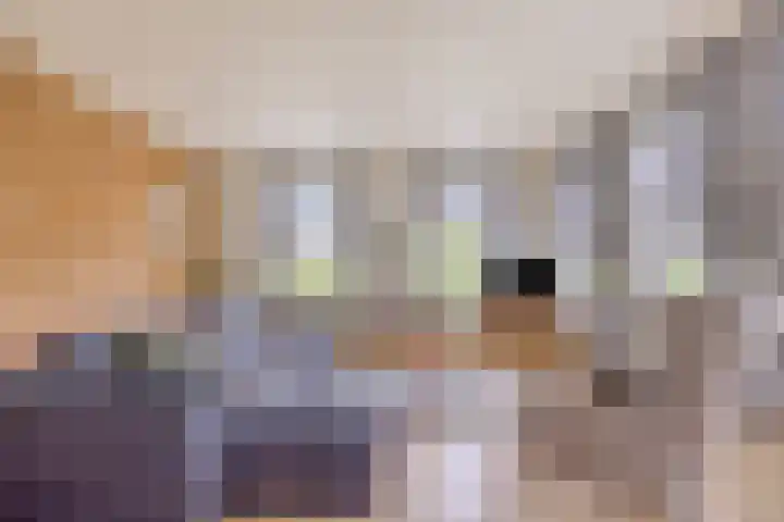 Wieldrechtse Zeedijk 43 Dordrecht thumbnail 5