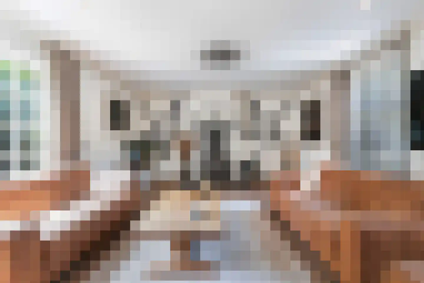 Wieldrechtse Zeedijk 9 Dordrecht thumbnail 11