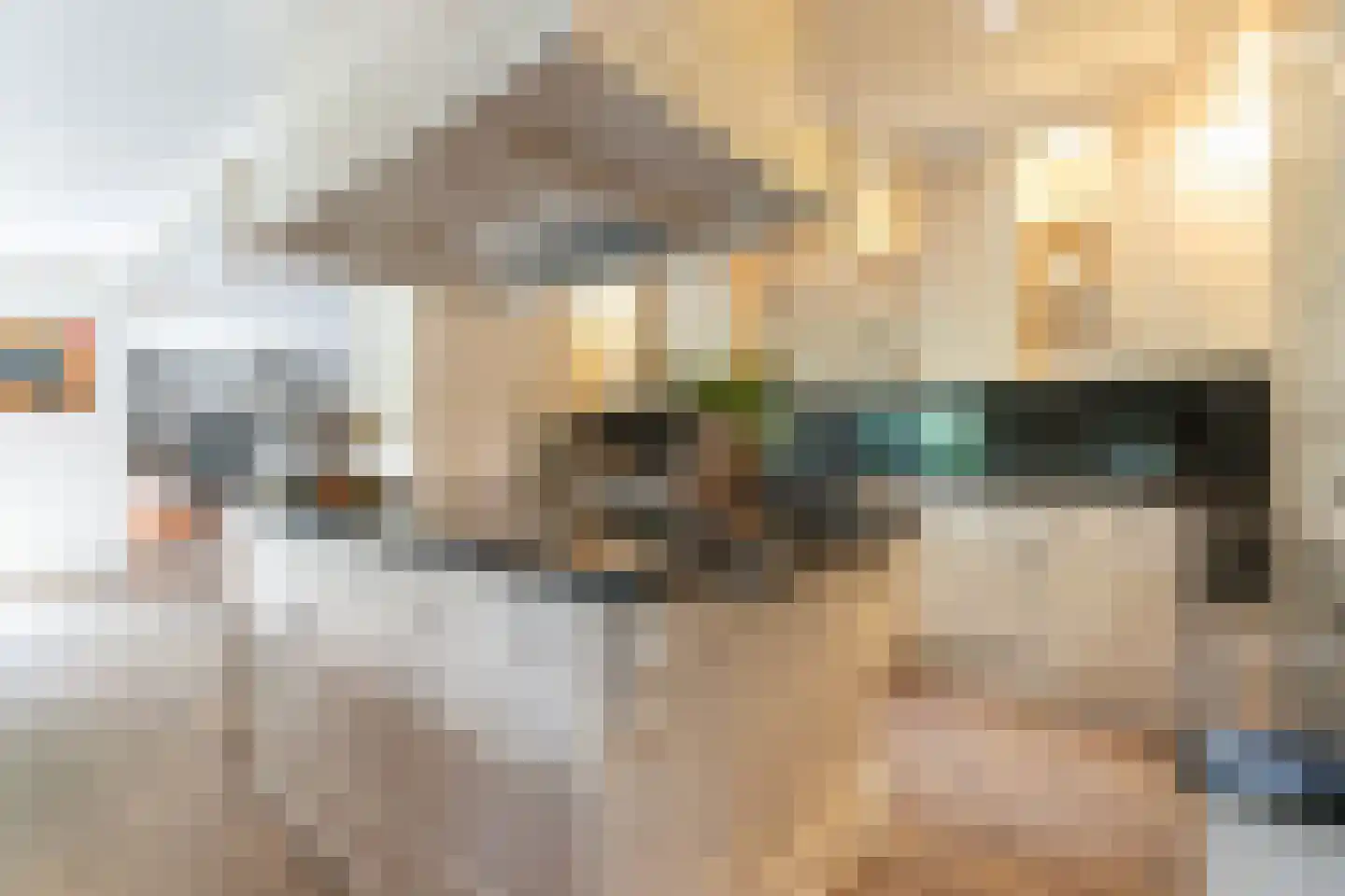 Wieldrechtse Zeedijk 9 Dordrecht thumbnail 17