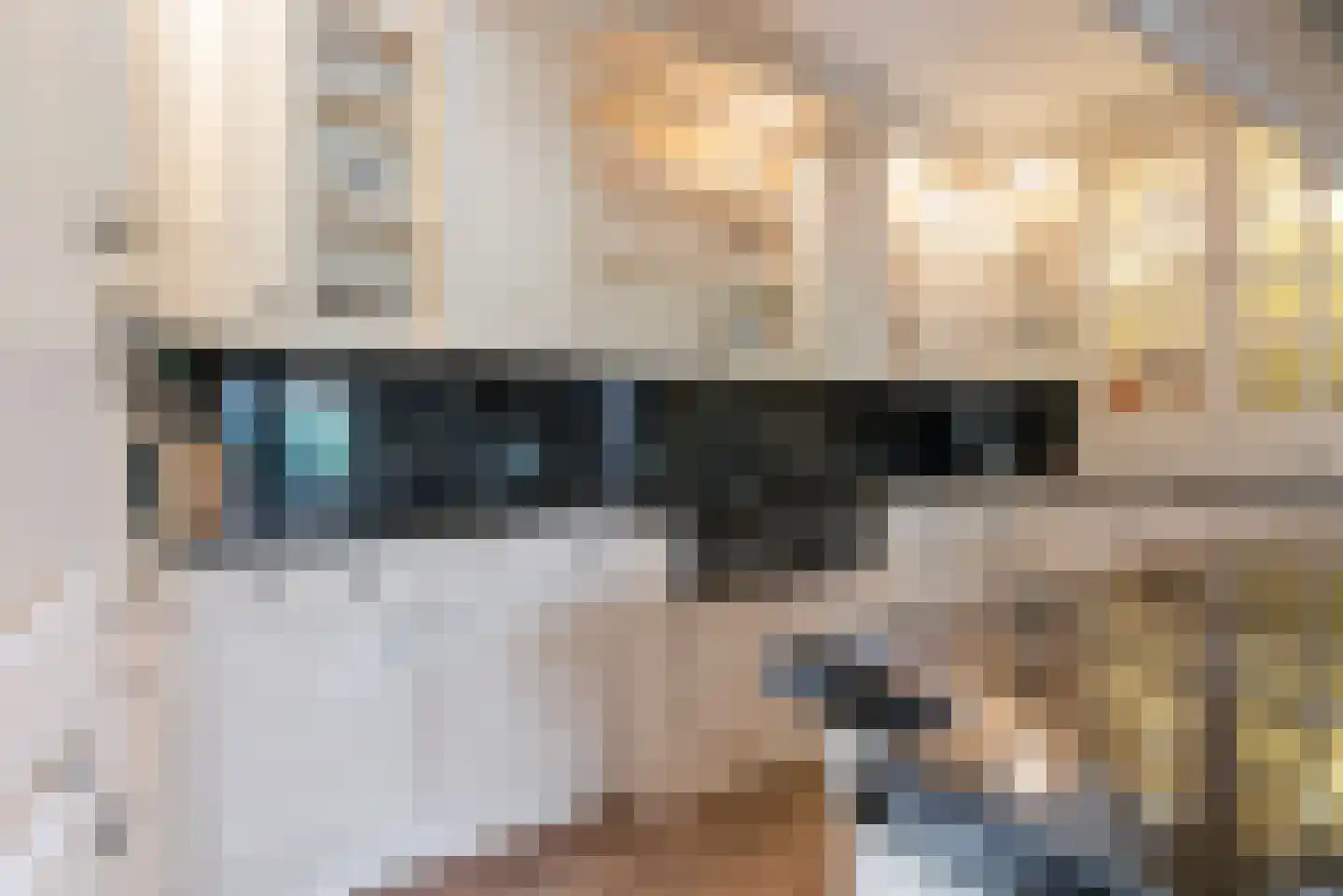 Wieldrechtse Zeedijk 9 Dordrecht thumbnail 18