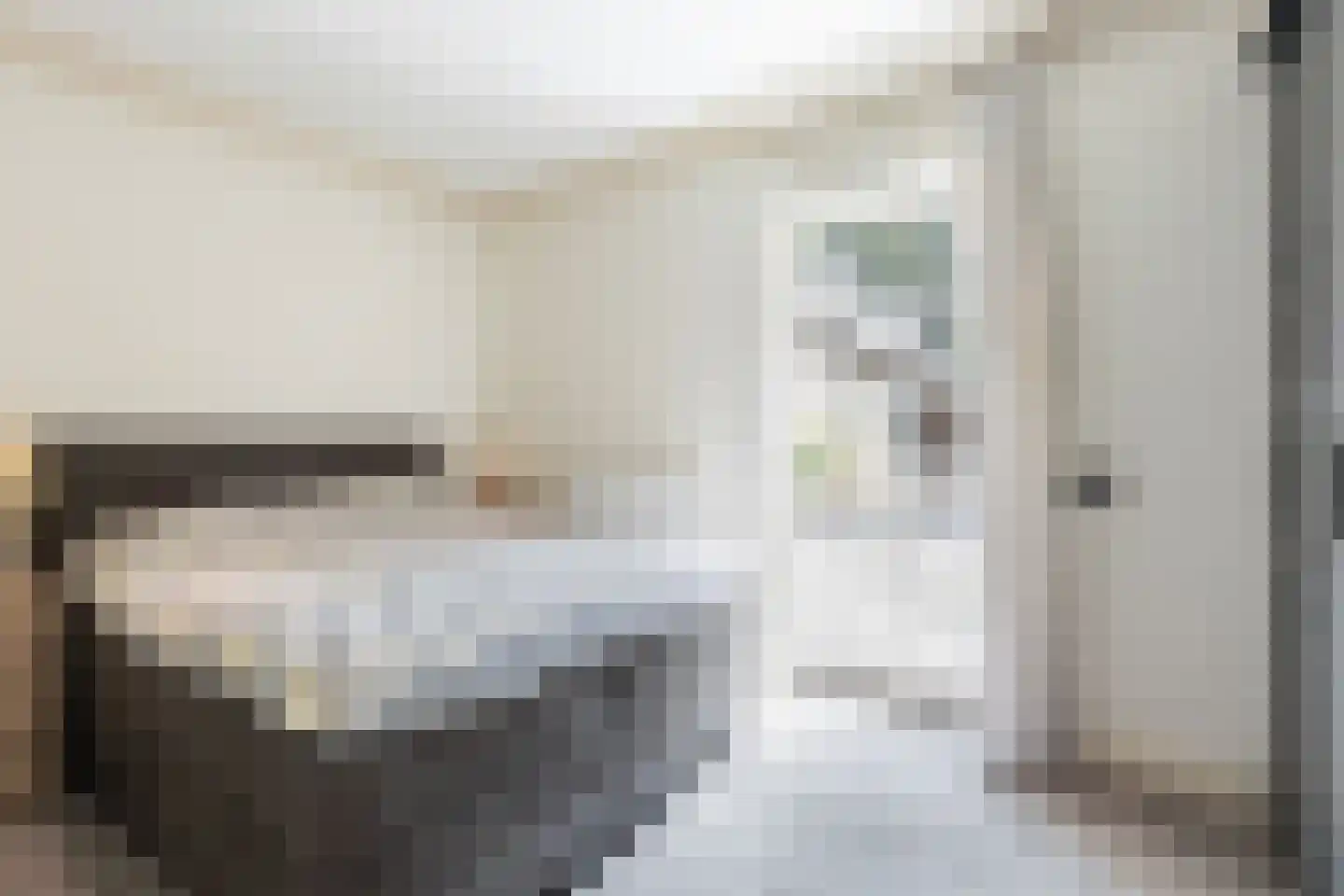 Wieldrechtse Zeedijk 9 Dordrecht thumbnail 20