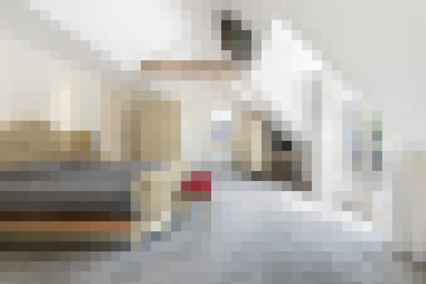 Wieldrechtse Zeedijk 9 Dordrecht thumbnail 26