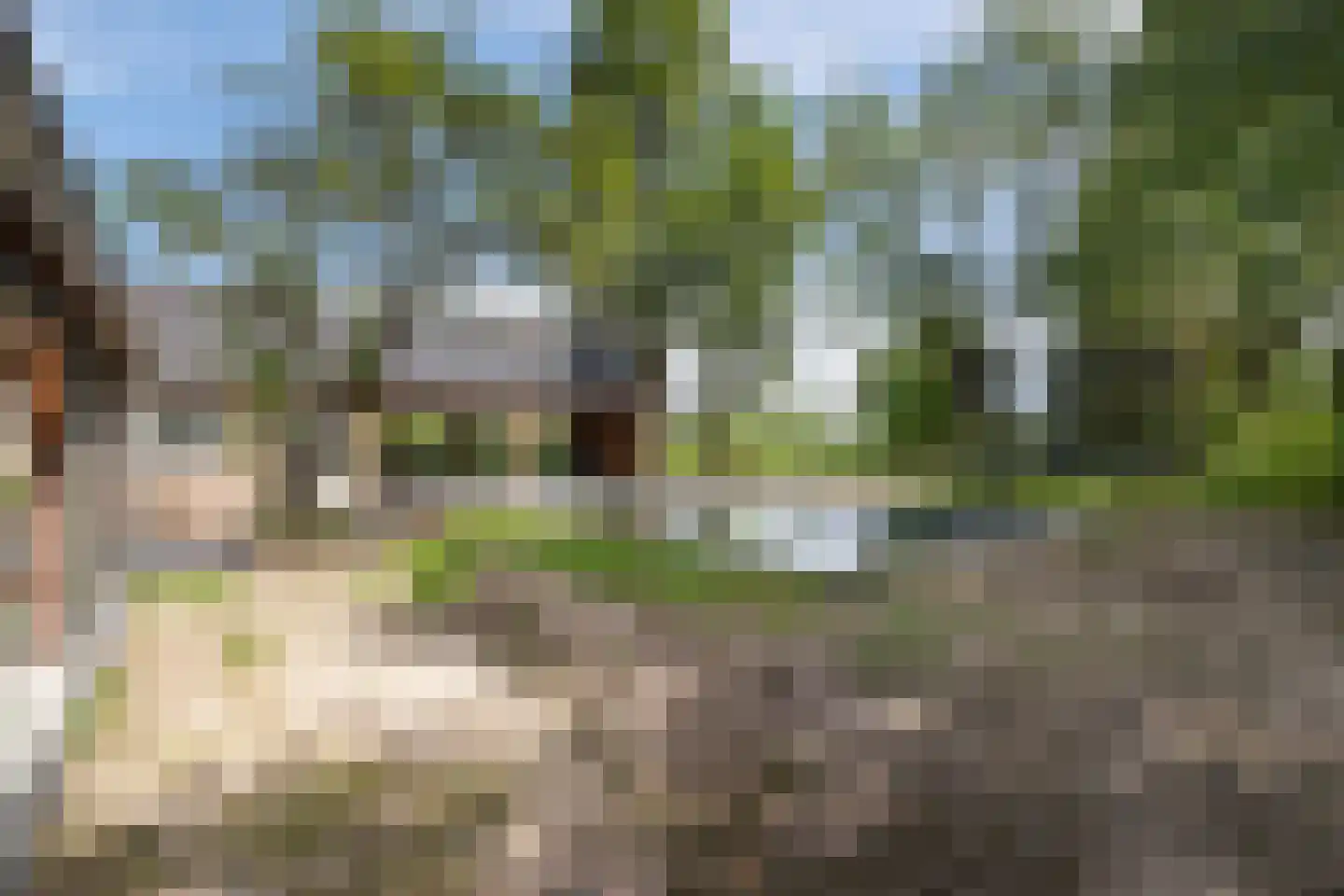 Wieldrechtse Zeedijk 9 Dordrecht thumbnail 35