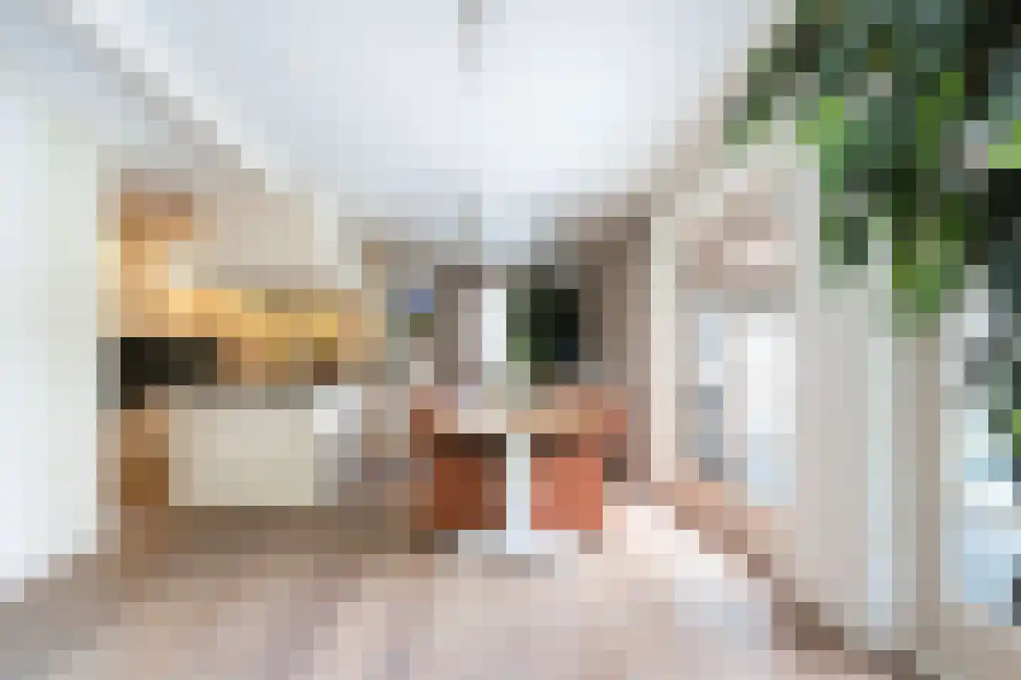 Wieldrechtse Zeedijk 9 Dordrecht thumbnail 4