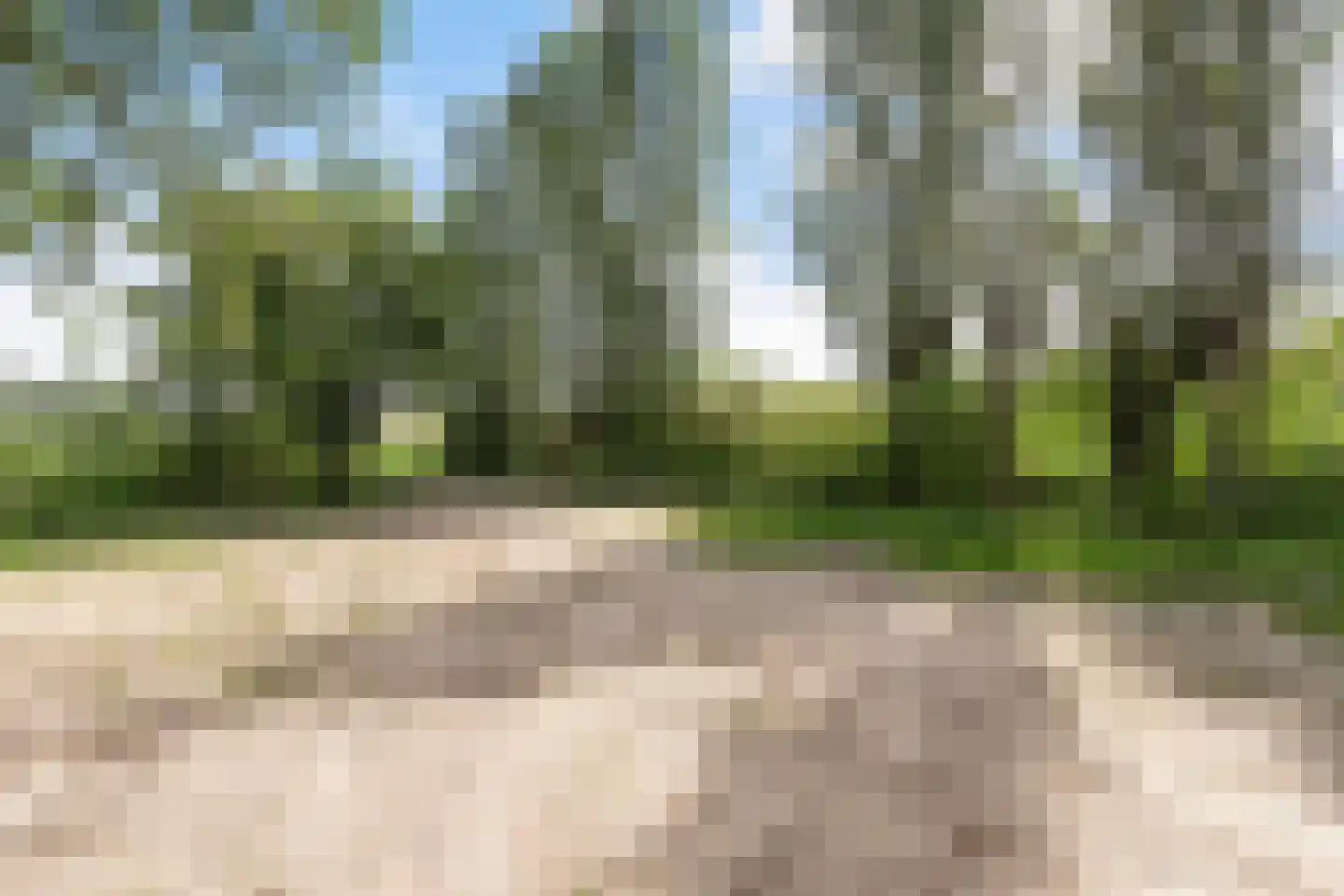 Wieldrechtse Zeedijk 9 Dordrecht thumbnail 45