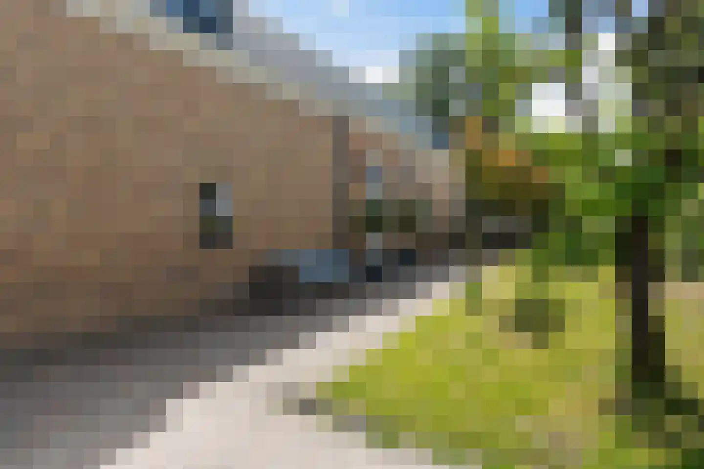 Wieldrechtse Zeedijk 9 Dordrecht thumbnail 8