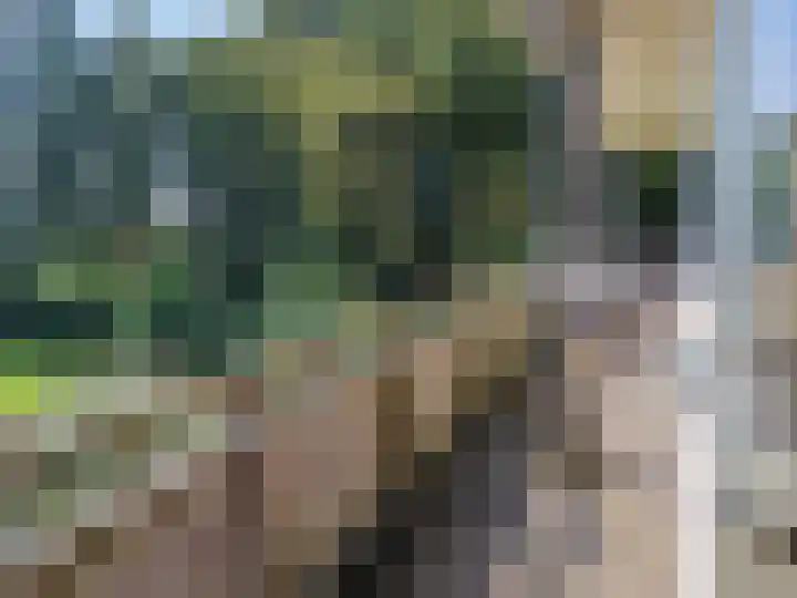 Wieldyk 10 Mirns thumbnail 12
