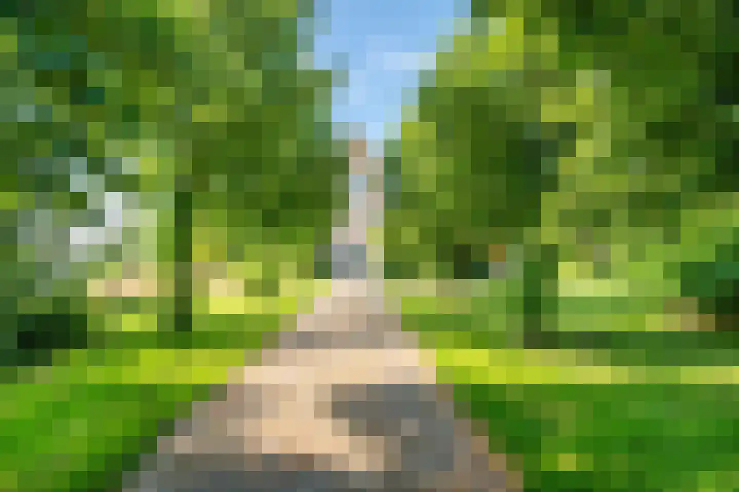 Wieldyk 10 Mirns thumbnail 46