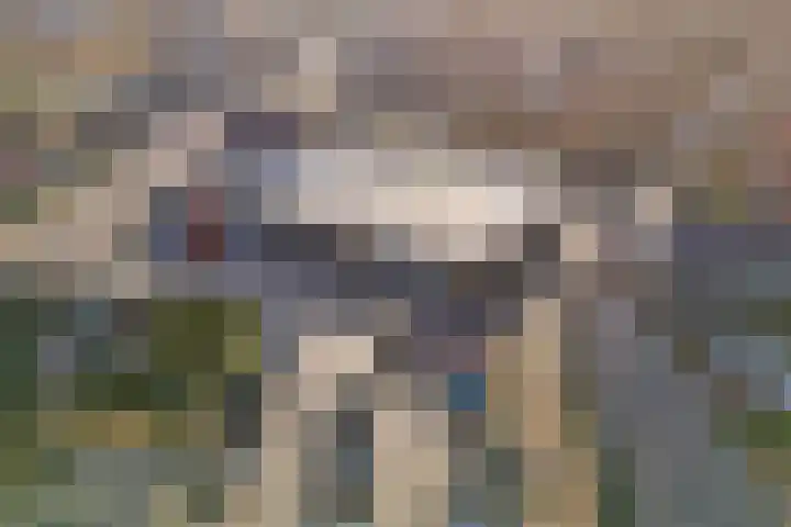 Wieldyk 10 Mirns thumbnail 53