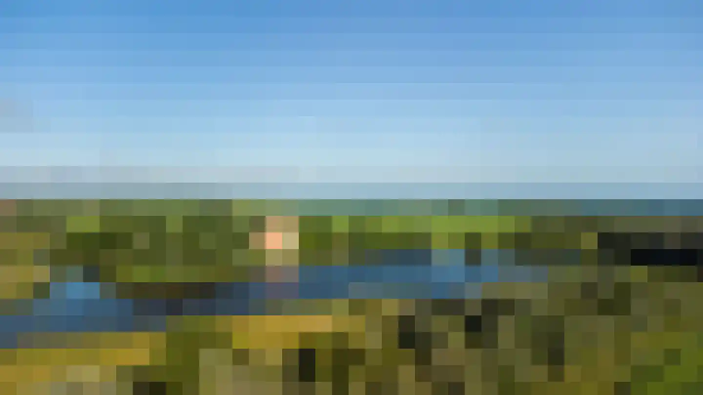 Wieldyk 10 Mirns thumbnail 54