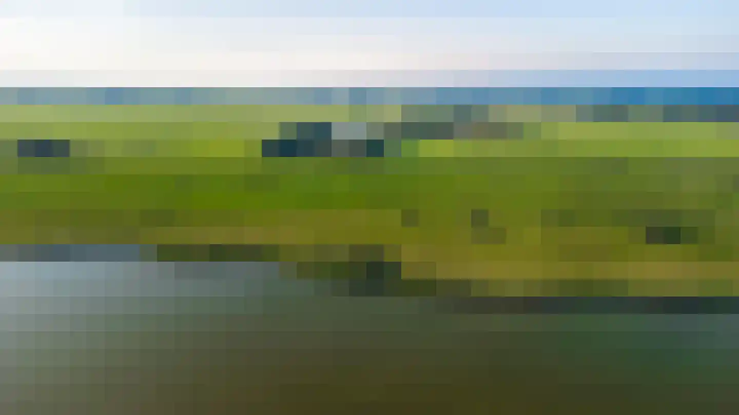 Wieldyk 10 Mirns thumbnail 59