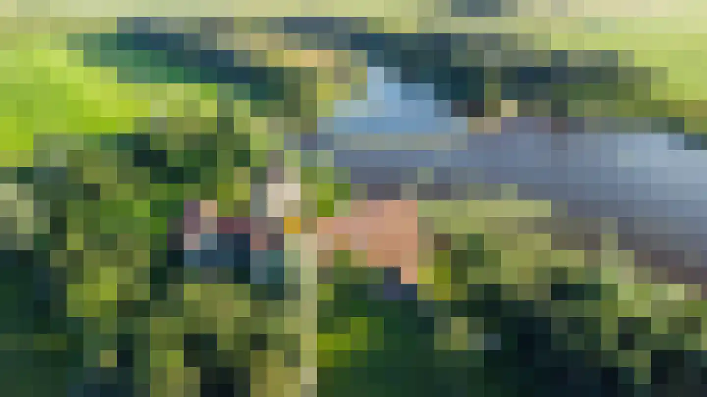 Wieldyk 10 Mirns thumbnail 6