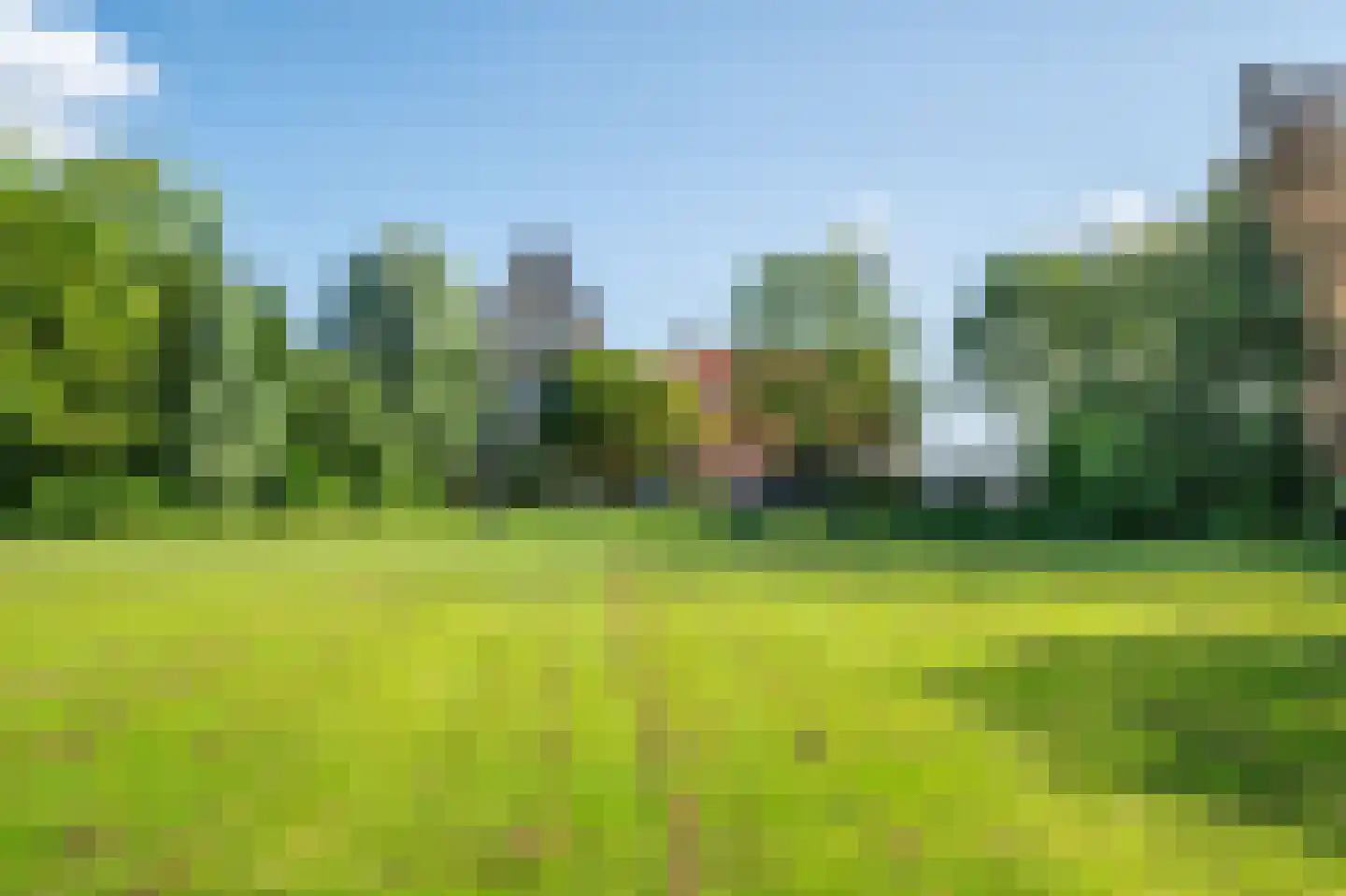 Wieldyk 10 Mirns thumbnail 7