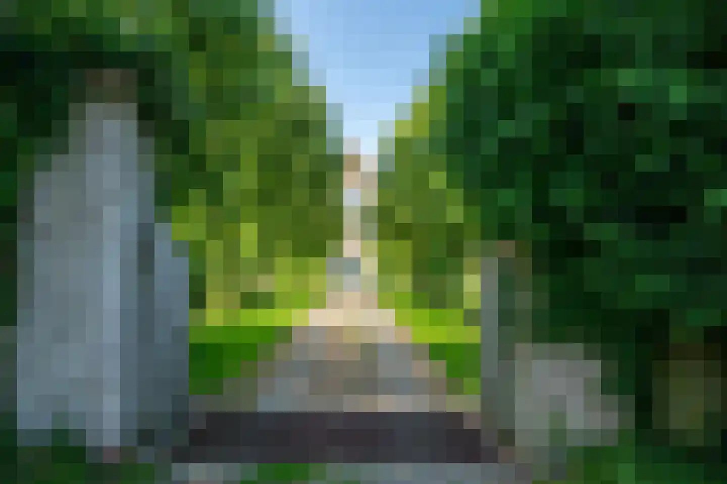 Wieldyk 10 Mirns thumbnail 8