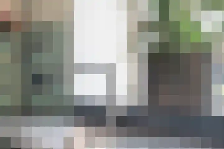 Wielekescamp 10 Zevenaar thumbnail 18