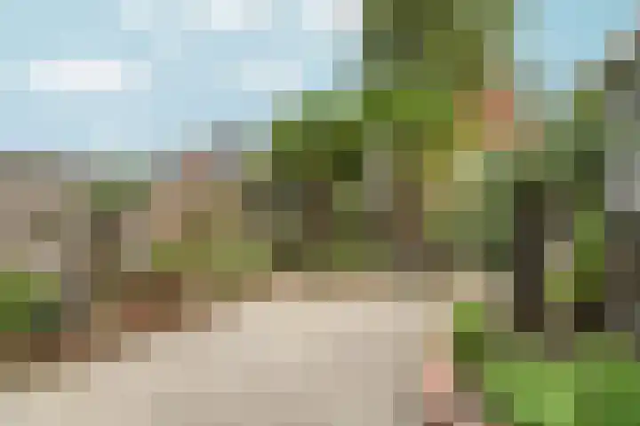 Wielekescamp 10 Zevenaar thumbnail 41