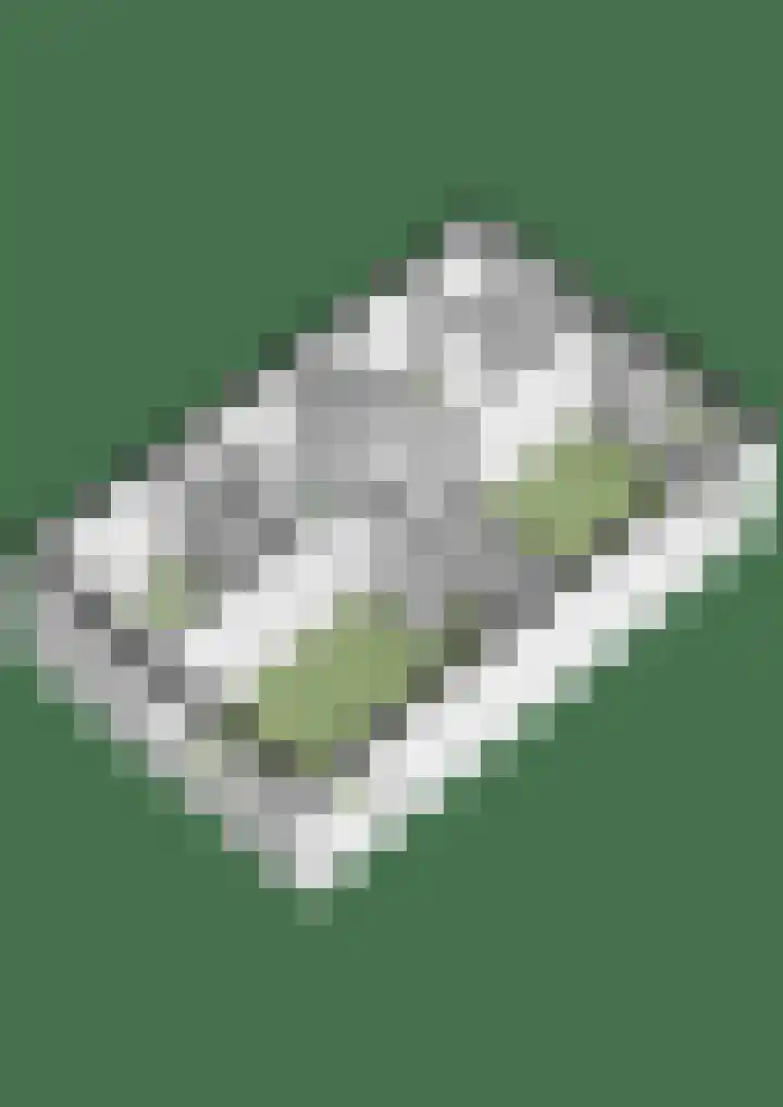Wielekescamp 10 Zevenaar thumbnail 52