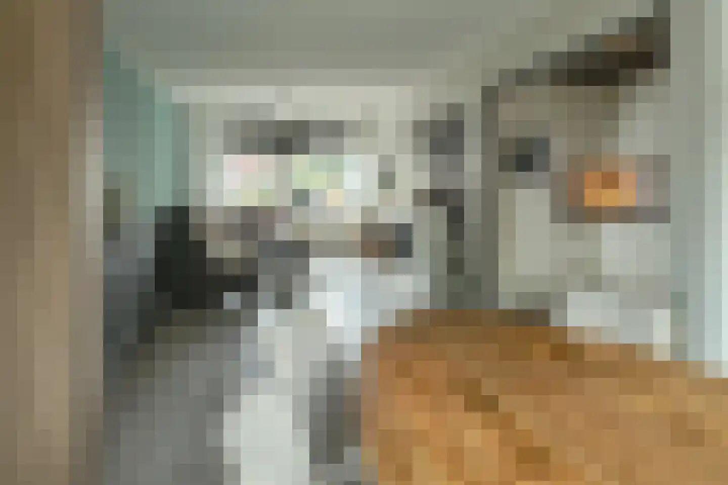 Wielen 5 Heerenveen thumbnail 9