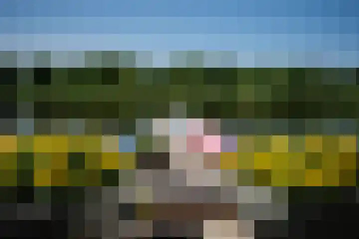 Wielendwinger 13 Leeuwarden thumbnail 20