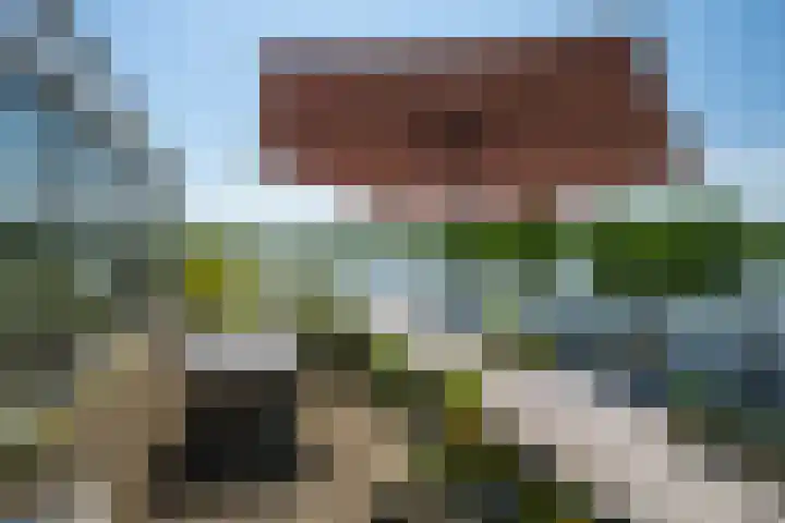 Wielendwinger 13 Leeuwarden thumbnail 21