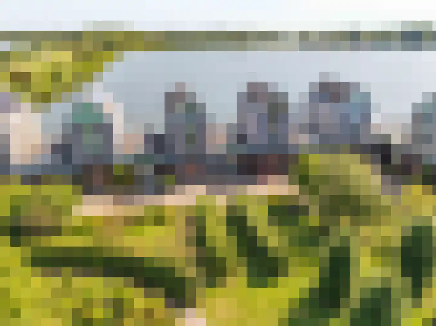 Wielendwinger 6 Leeuwarden thumbnail 4