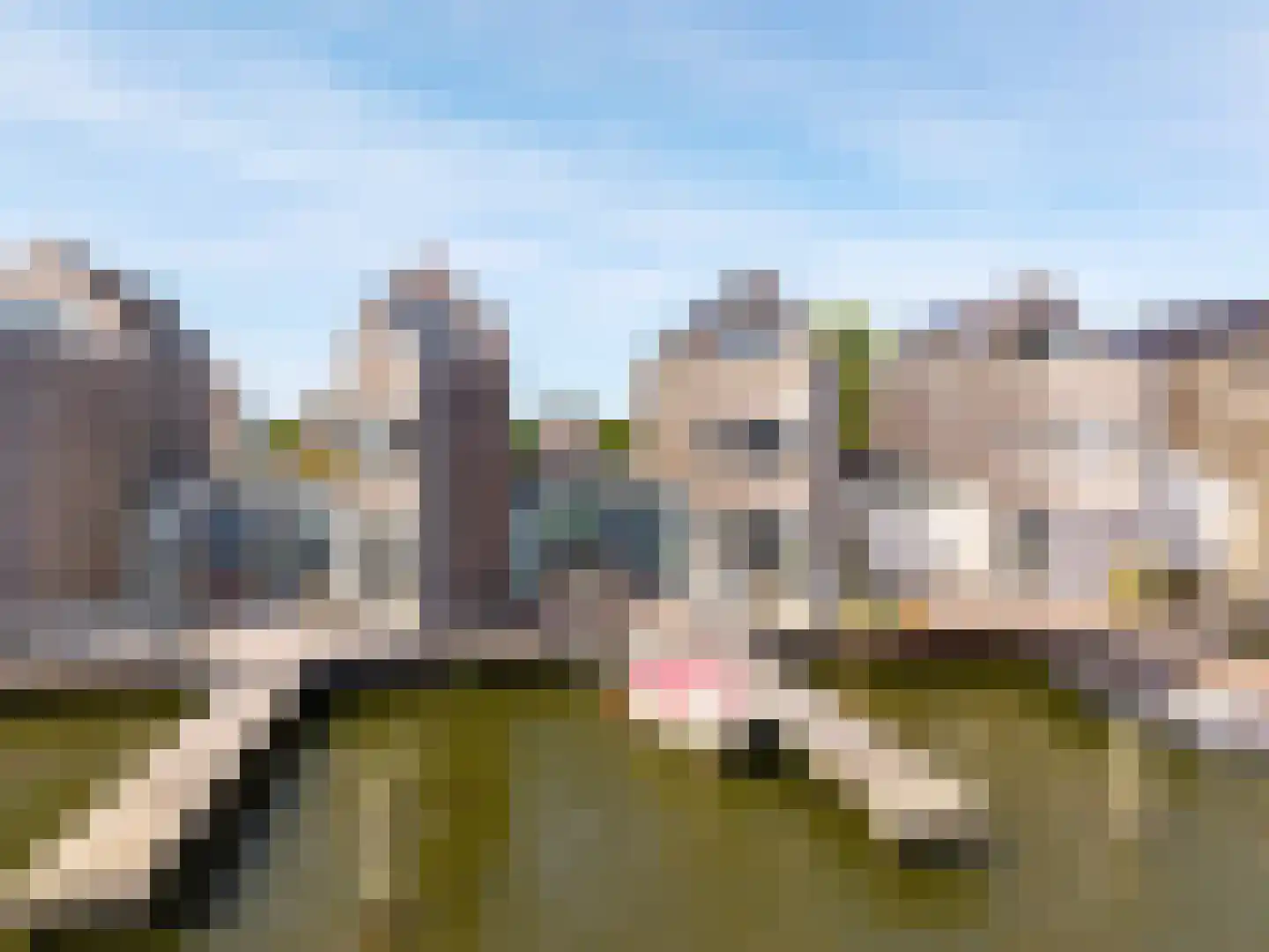 Wielendwinger 6 Leeuwarden thumbnail 62