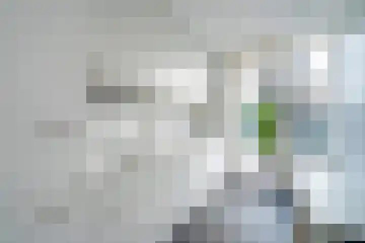 Wielengahof 18 Delft thumbnail 10