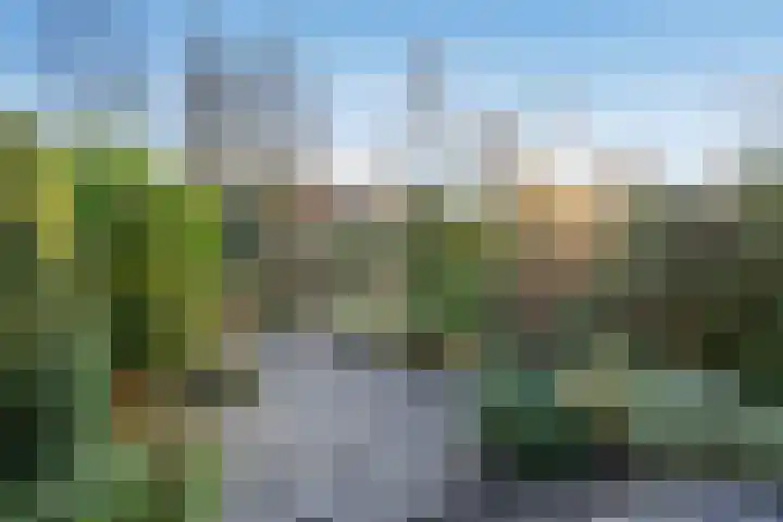 Wielengahof 18 Delft thumbnail 12