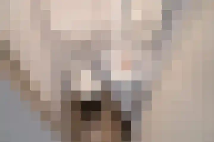 Wielengahof 18 Delft thumbnail 15