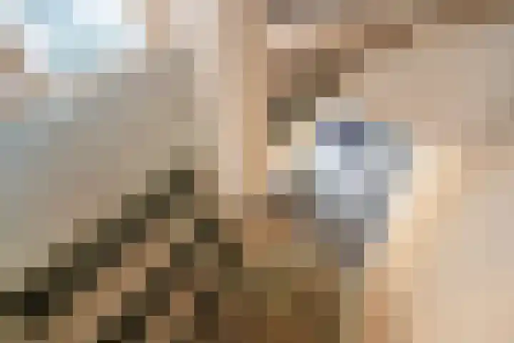 Wielengahof 18 Delft thumbnail 16