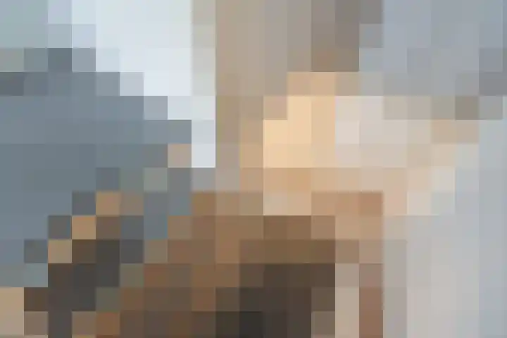Wielengahof 18 Delft thumbnail 27