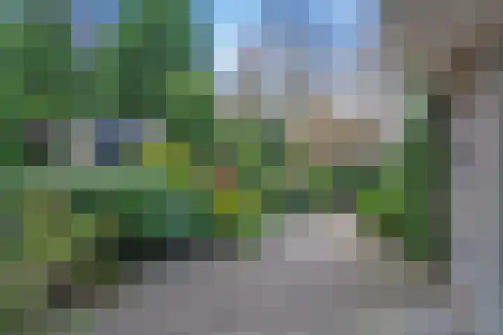 Wielengahof 18 Delft thumbnail 33